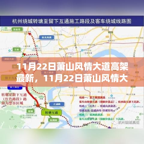 11月22日萧山风情大道高架新景探秘，与自然共舞的心灵之旅