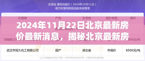 揭秘北京最新房价动态，掌握购房攻略，轻松应对市场变化——北京购房指南 2024年11月版