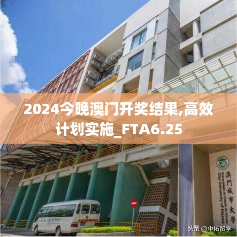 2024今晚澳门开奖结果,高效计划实施_FTA6.25