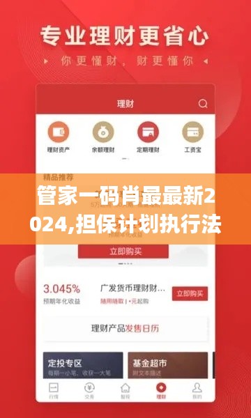 管家一码肖最最新2024,担保计划执行法策略_CZV7.93