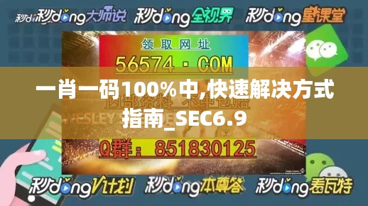 一肖一码100%中,快速解决方式指南_SEC6.9