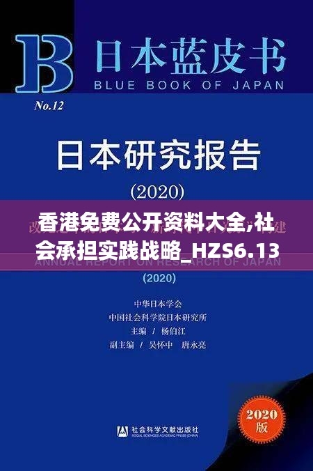 香港免费公开资料大全,社会承担实践战略_HZS6.13