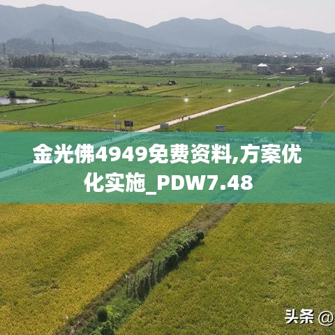 金光佛4949免费资料,方案优化实施_PDW7.48