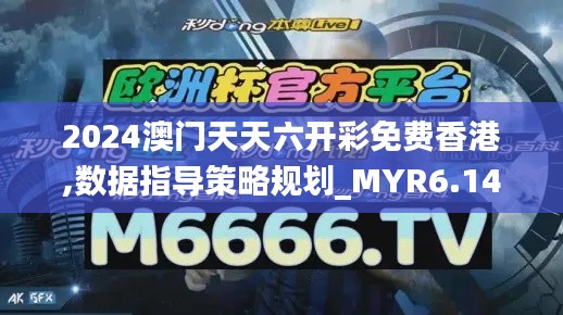 2024澳门天天六开彩免费香港,数据指导策略规划_MYR6.14