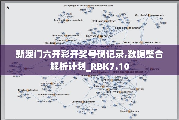 新澳门六开彩开奖号码记录,数据整合解析计划_RBK7.10