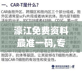 濠江免费资料最准一码,专业解读操行解决_CEF6.27