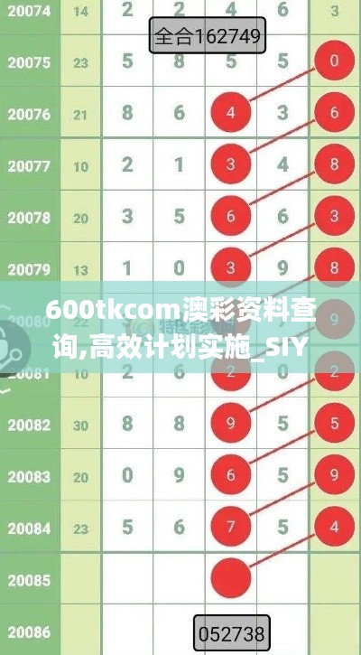 600tkcom澳彩资料查询,高效计划实施_SIY6.48