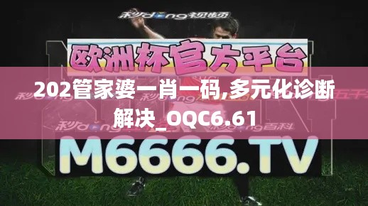 202管家婆一肖一码,多元化诊断解决_OQC6.61