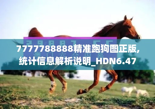 7777788888精准跑狗图正版,统计信息解析说明_HDN6.47