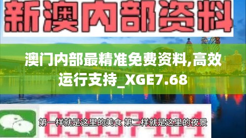 澳门内部最精准免费资料,高效运行支持_XGE7.68