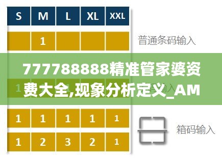 777788888精准管家婆资费大全,现象分析定义_AMJ6.70