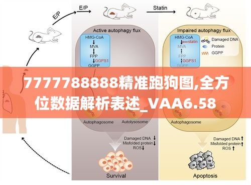 7777788888精准跑狗图,全方位数据解析表述_VAA6.58