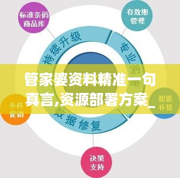 管家婆资料精准一句真言,资源部署方案_PRT6.31