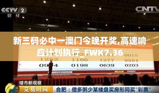 新三码必中一澳门今晚开奖,高速响应计划执行_FWK7.36