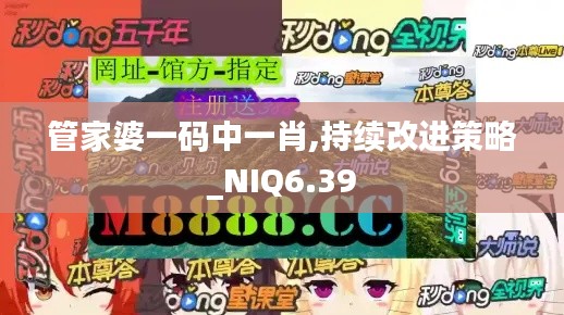 管家婆一码中一肖,持续改进策略_NIQ6.39