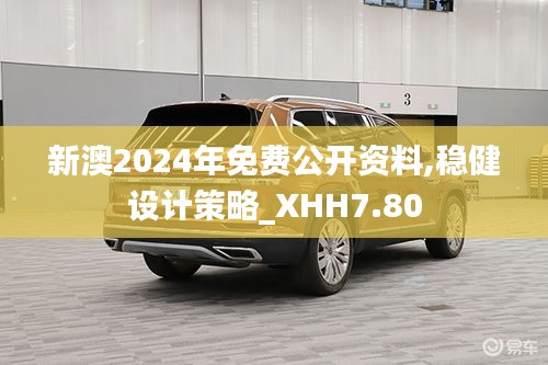 新澳2024年免费公开资料,稳健设计策略_XHH7.80