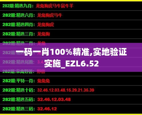 一码一肖100%精准,实地验证实施_EZL6.52