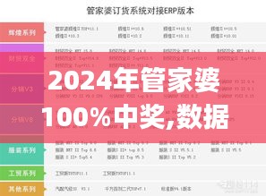 2024年管家婆100%中奖,数据指导策略规划_DWU6.32