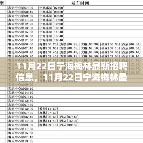 11月22日宁海梅林最新招聘信息全面更新及评测报告