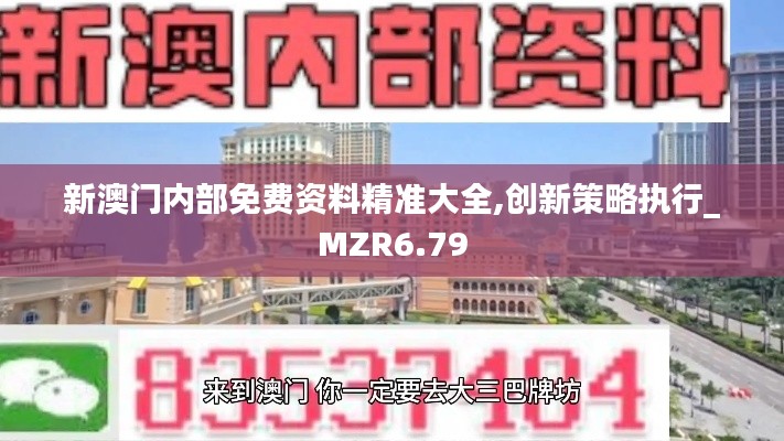 新澳门内部免费资料精准大全,创新策略执行_MZR6.79