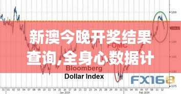 新澳今晚开奖结果查询,全身心数据计划_STS6.88