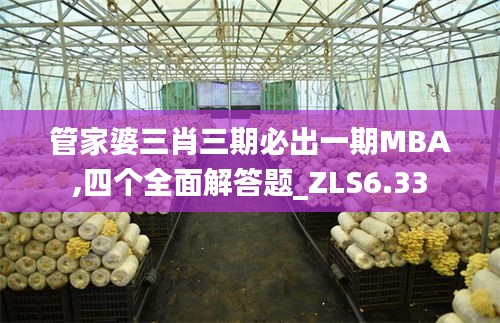 管家婆三肖三期必出一期MBA,四个全面解答题_ZLS6.33