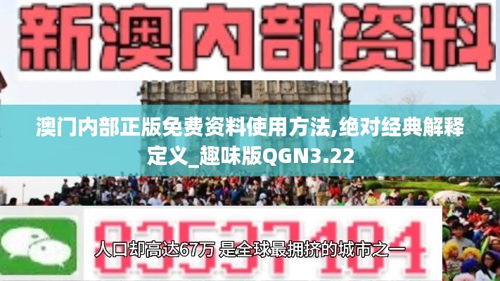 澳门内部正版免费资料使用方法,绝对经典解释定义_趣味版QGN3.22