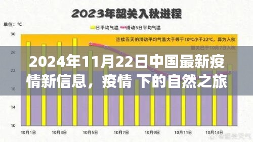 疫情下的自然探索，中国最新疫情信息下的心灵之旅