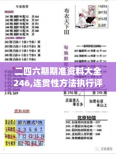 二四六期期准资料大全246,连贯性方法执行评估_VCW7.31