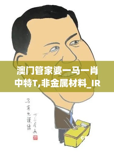 澳门管家婆一马一肖中特T,非金属材料_IRK7.7