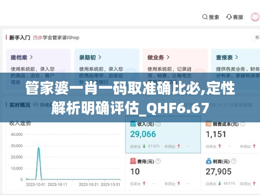 管家婆一肖一码取准确比必,定性解析明确评估_QHF6.67