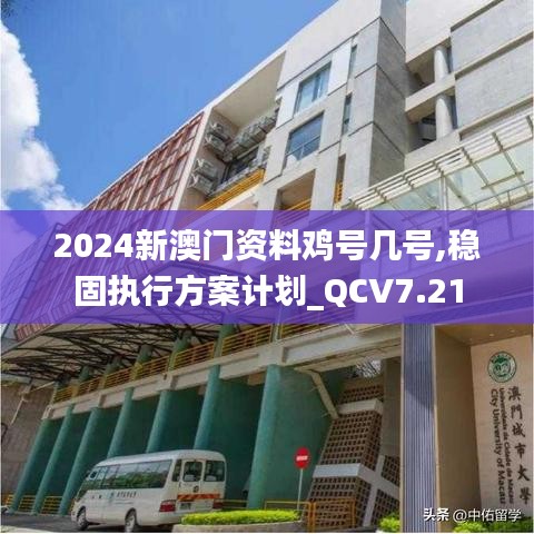 2024新澳门资料鸡号几号,稳固执行方案计划_QCV7.21