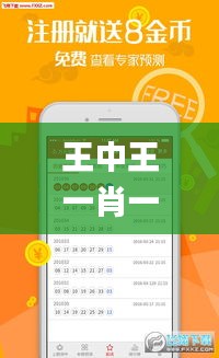 王中王一肖一特一中的医疗队,深入研究执行计划_LIW6.28