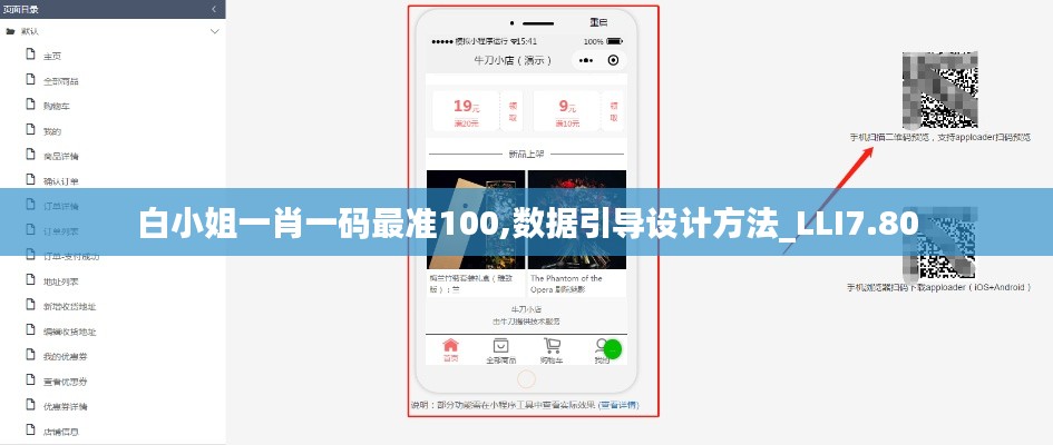 白小姐一肖一码最准100,数据引导设计方法_LLI7.80