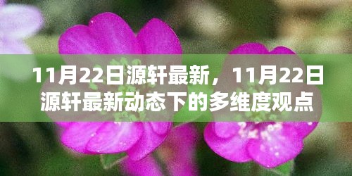 11月22日源轩最新动态，多维度观点探析