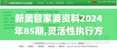 新奥管家婆资料2024年85期,灵活性执行方案_HTL6.14