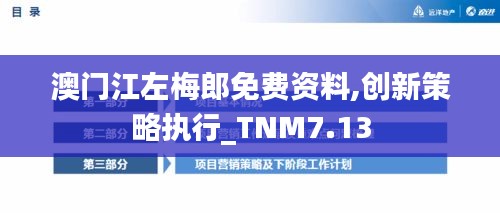 澳门江左梅郎免费资料,创新策略执行_TNM7.13