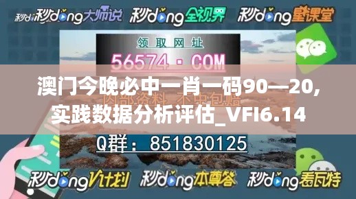 澳门今晚必中一肖一码90—20,实践数据分析评估_VFI6.14