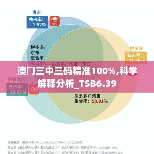 澳门三中三码精准100%,科学解释分析_TSB6.39