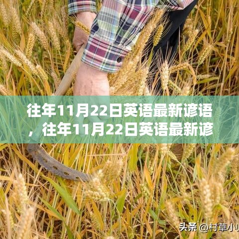 往年11月22日英语最新谚语深度解析与评测，经典语句一网打尽