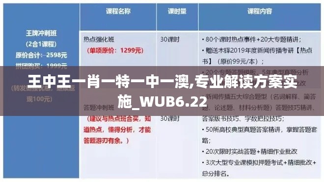 王中王一肖一特一中一澳,专业解读方案实施_WUB6.22