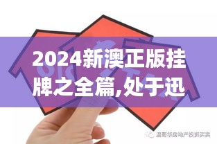 2024新澳正版挂牌之全篇,处于迅速响应执行_CXG6.14