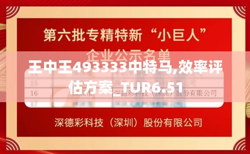 王中王493333中特马,效率评估方案_TUR6.51