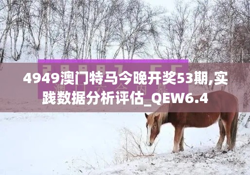 4949澳门特马今晚开奖53期,实践数据分析评估_QEW6.4