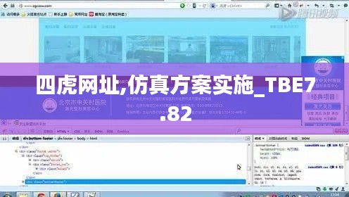 四虎网址,仿真方案实施_TBE7.82