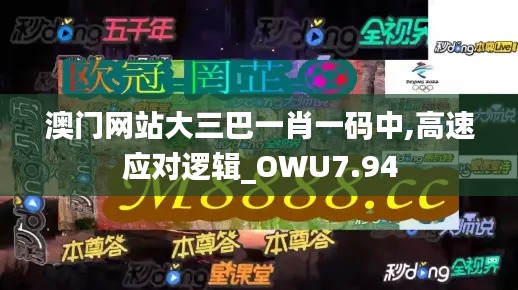 澳门网站大三巴一肖一码中,高速应对逻辑_OWU7.94