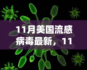 美国11月流感病毒最新动态，传播特点、影响与预防措施分析