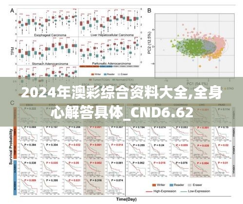 2024年澳彩综合资料大全,全身心解答具体_CND6.62