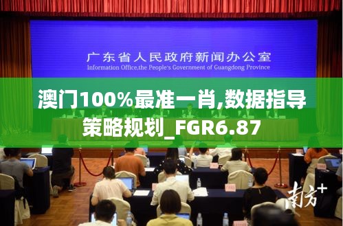 澳门100%最准一肖,数据指导策略规划_FGR6.87