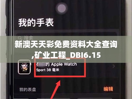 新澳天天彩免费资料大全查询,矿业工程_DBI6.15